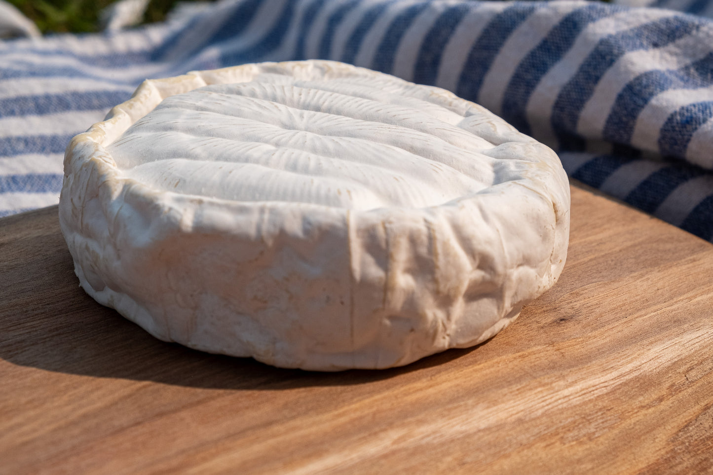 Cheese Club