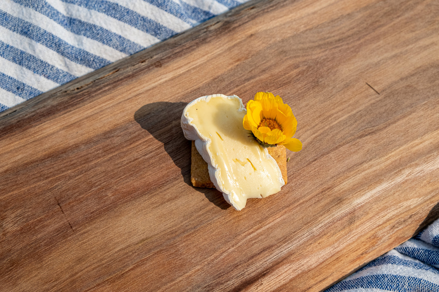 Cheese Club