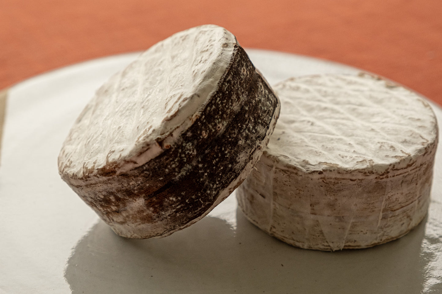 Cheese Club